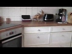 Milf fickt den sohn der freundinsxodvtn1