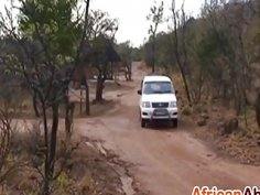 Beautiful African chick giving an incredible blowjob on the backseat of the car